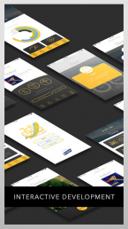 Interactive Development