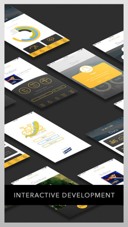 Interactive Development